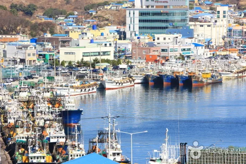 Guryongpo Port  (4/8)