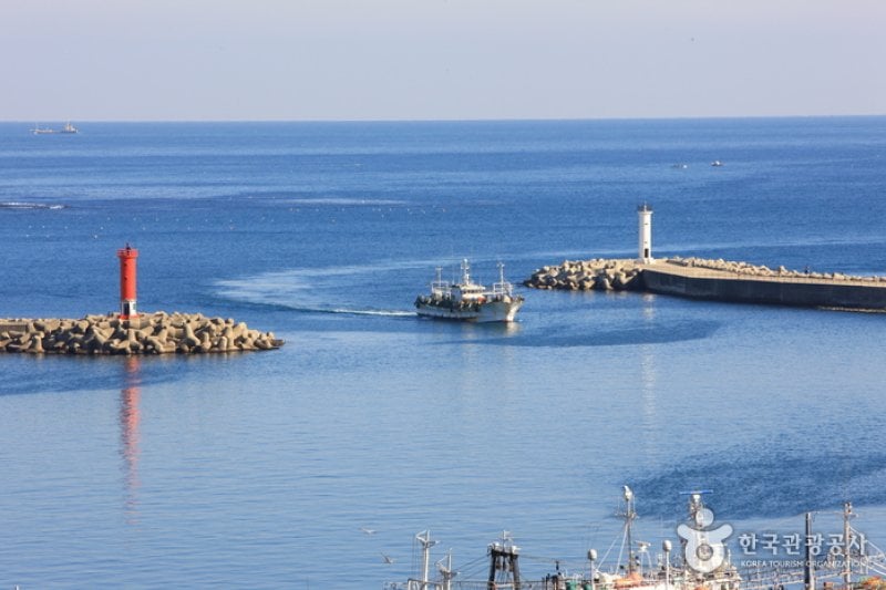 Guryongpo Port  (5/8)