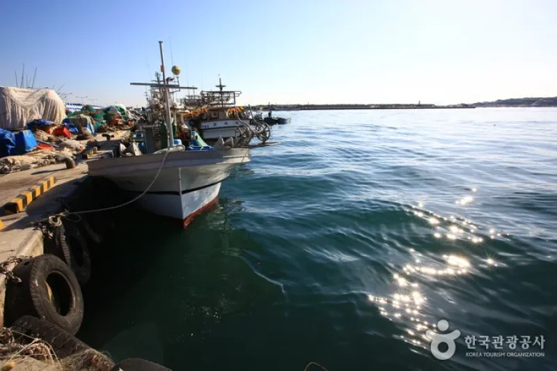 Guryongpo Port  (8/8)