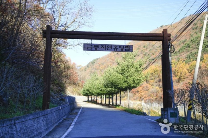 Geumbong Recreational Forest (금봉자연휴양림) (1/4)