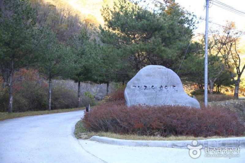 Geumbong Recreational Forest (금봉자연휴양림) (2/4)