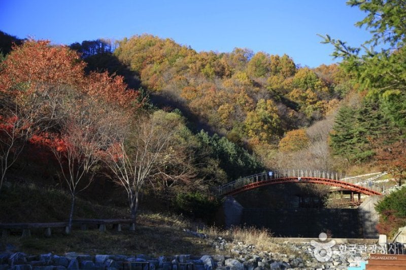 Geumbong Recreational Forest (금봉자연휴양림) (4/4)
