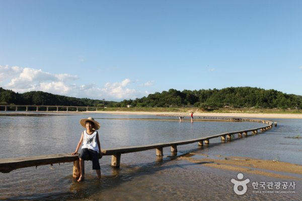 Museom Single-Log Bridge Festival