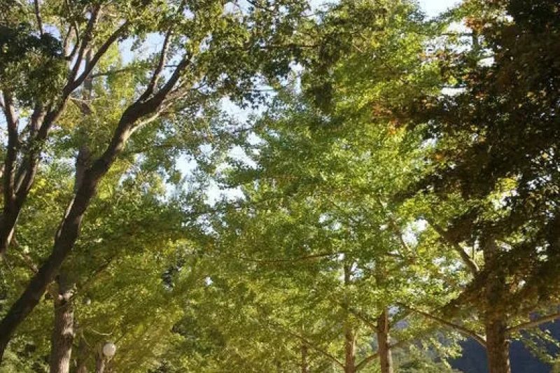 Mungyeong Special Tourist Zone (3/3)