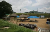 Yecheon Samgangjumak 