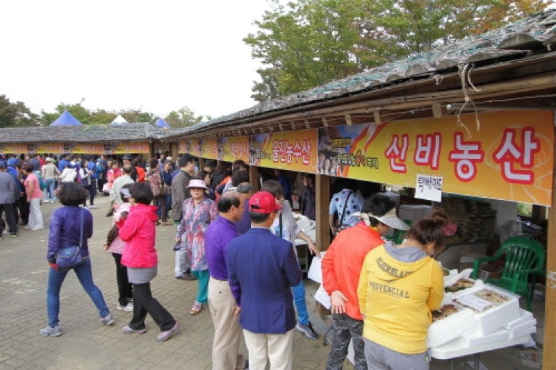Uljin Geumgang Songi Mushroom Festival  (6/10)
