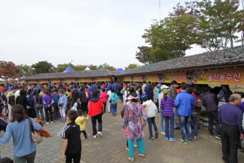 Uljin Geumgang Songi Mushroom Festival  (7/10)
