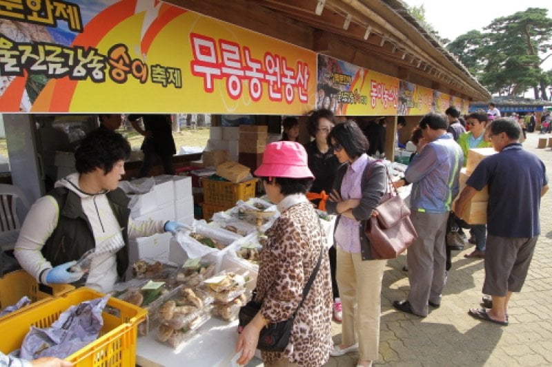 Uljin Geumgang Songi Mushroom Festival  (10/10)