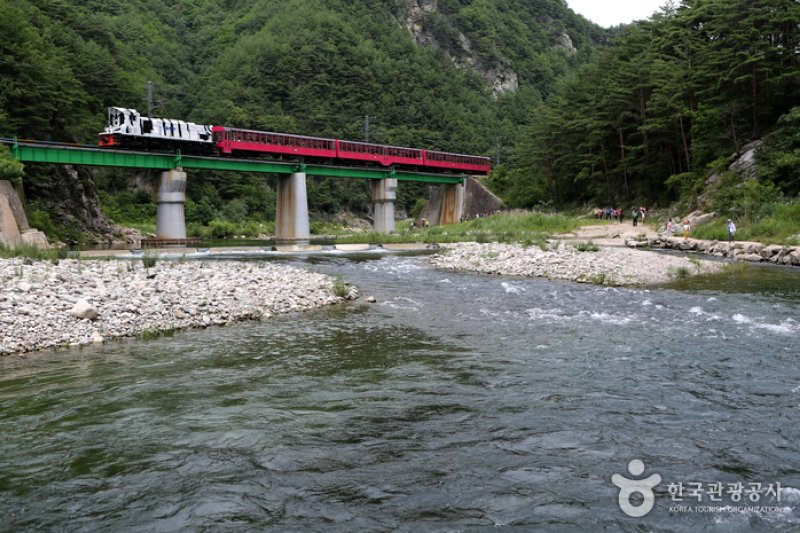 Baekdudaegan Mountain Range Canyon Train  (1/7)