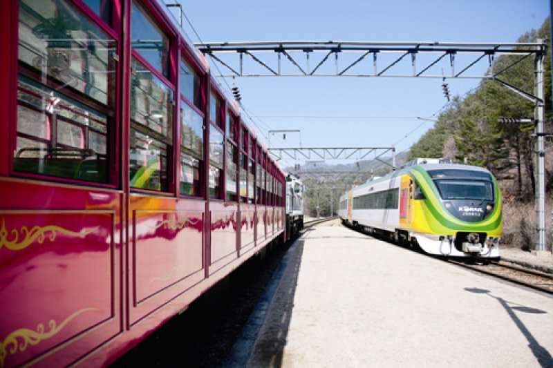 Baekdudaegan Mountain Range Canyon Train  (4/7)