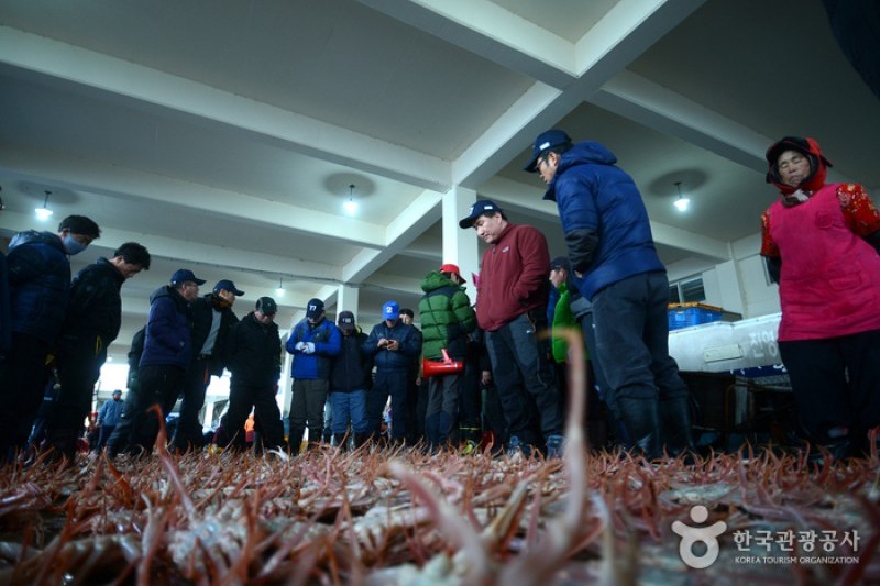 Uljin Snow Crab Festival  (2/6)