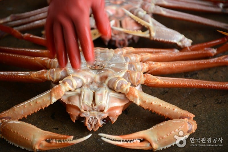 Uljin Snow Crab Festival  (4/6)