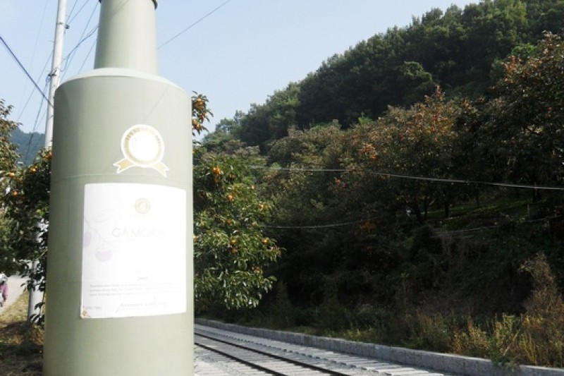 Cheongdo Wine Tunnel  (2/24)