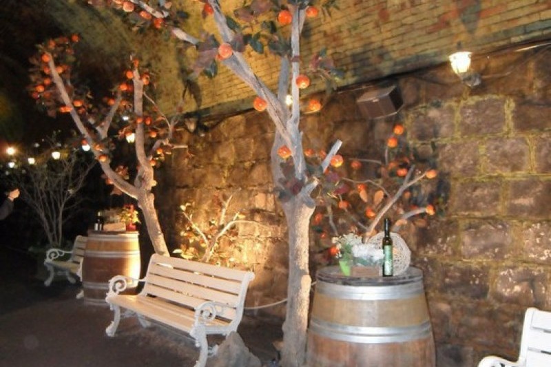 Cheongdo Wine Tunnel  (3/24)
