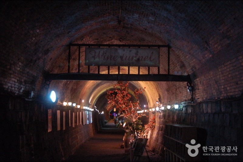 Cheongdo Wine Tunnel  (7/24)