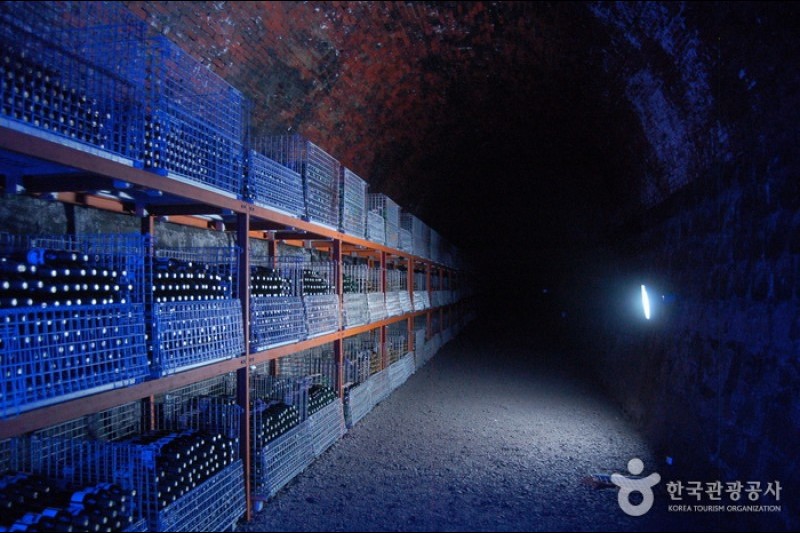 Cheongdo Wine Tunnel  (10/24)