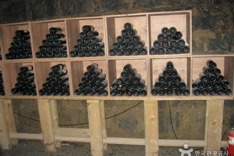 Cheongdo Wine Tunnel  (11/24)