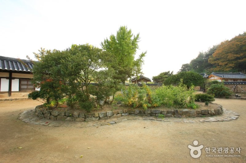 Songso House (청송 송소고택) (5/38)