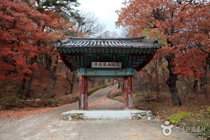 Bongjeongsa Temple  (13/15)