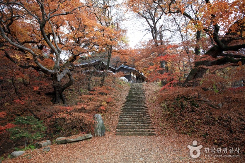 Bongjeongsa Temple  (15/15)
