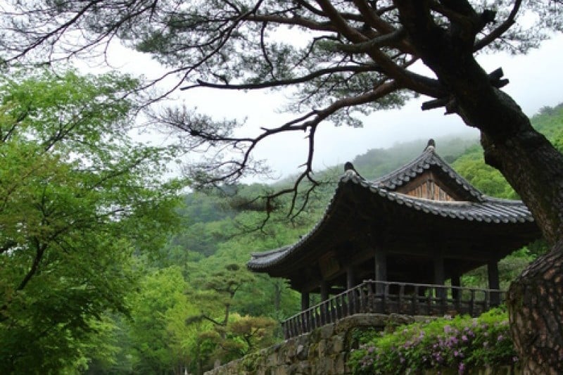 Mungyeong Saejae Provincial Park  (43/46)