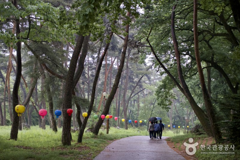 Eunhaesa Temple - Yeongcheon  (4/4)