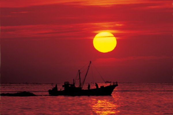 Yeongdeok Sunrise Festival