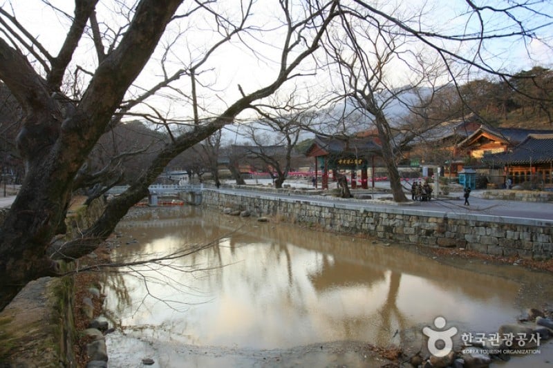Tongdosa Temple  (32/37)