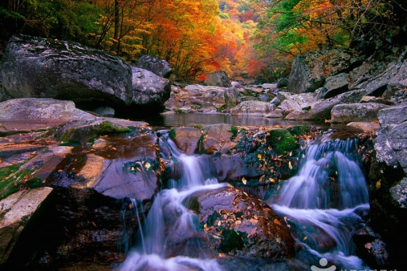 Jirisan National Park  (1/2)