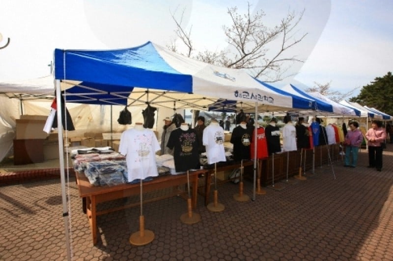 Jinhae Gunhangje Festival  (2/11)