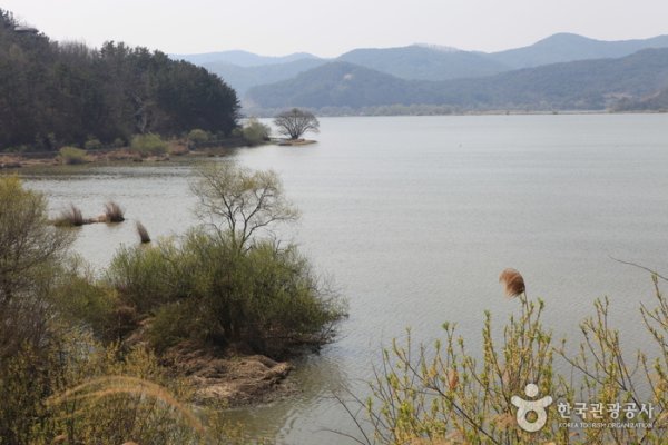 Changnyeong Upo Wetland