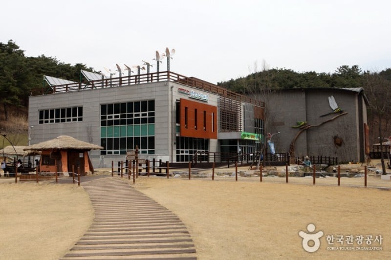 Changnyeong Upo Wetland  (2/31)