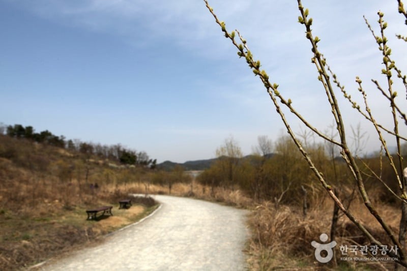 Changnyeong Upo Wetland  (4/31)