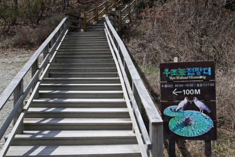 Changnyeong Upo Wetland  (5/31)