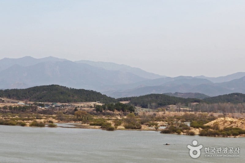 Changnyeong Upo Wetland  (7/31)
