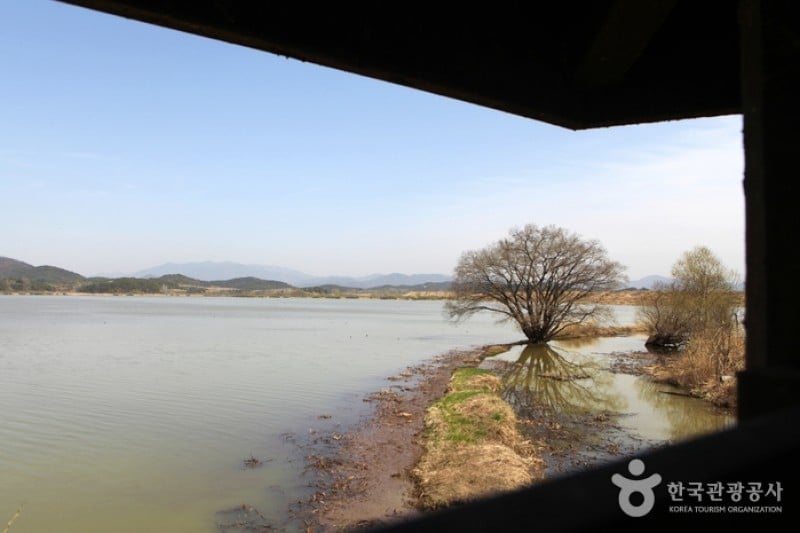 Changnyeong Upo Wetland  (9/31)