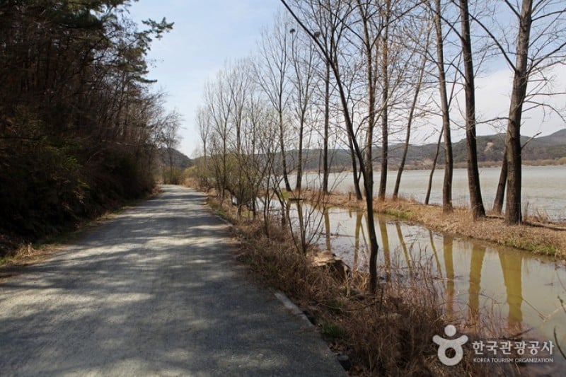 Changnyeong Upo Wetland  (10/31)