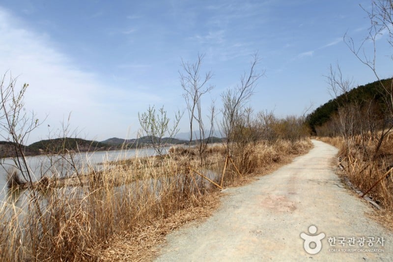 Changnyeong Upo Wetland  (11/31)