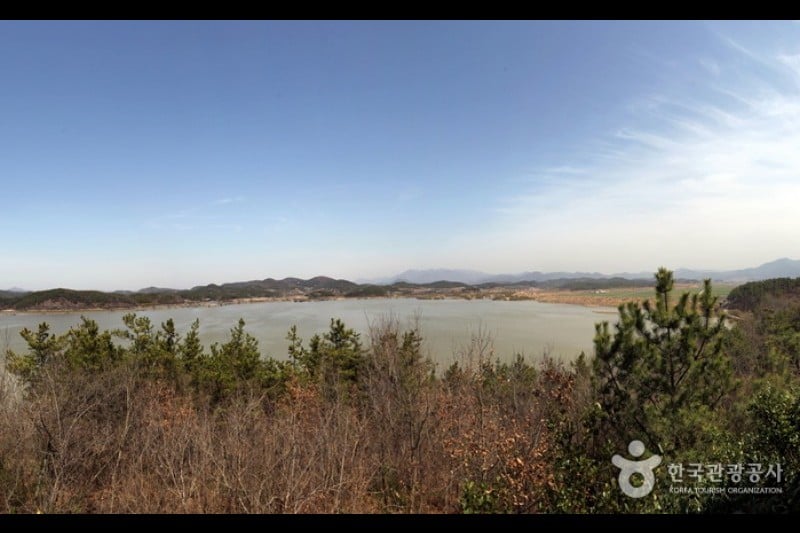 Changnyeong Upo Wetland  (12/31)