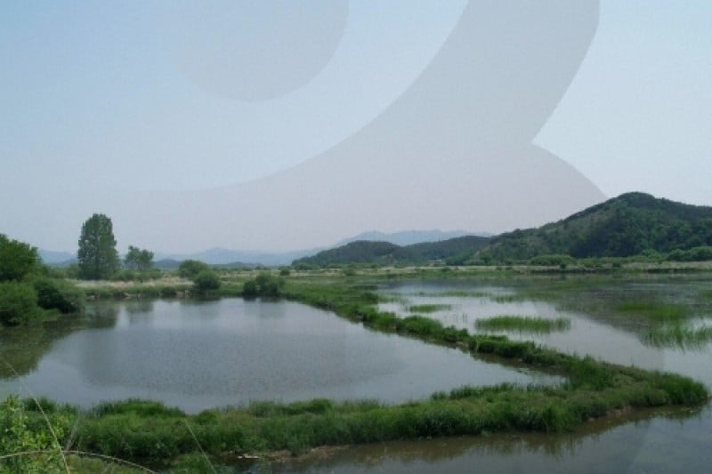 Changnyeong Upo Wetland  (17/31)