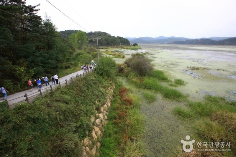 Changnyeong Upo Wetland  (22/31)