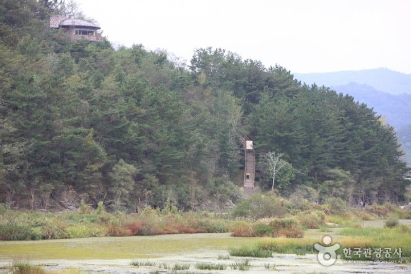 Changnyeong Upo Wetland  (24/31)