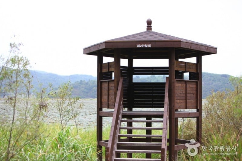 Changnyeong Upo Wetland  (25/31)