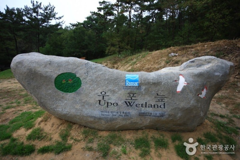 Changnyeong Upo Wetland  (26/31)