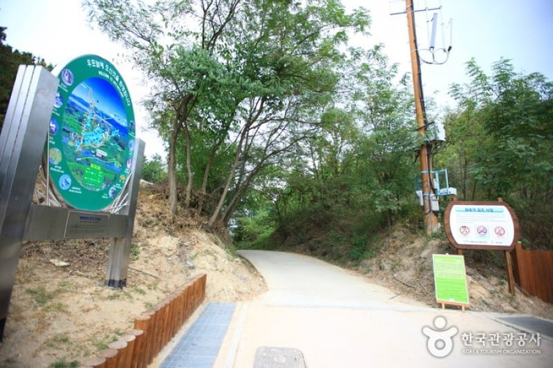 Changnyeong Upo Wetland  (27/31)