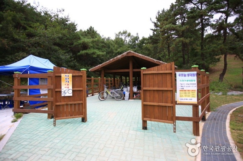 Changnyeong Upo Wetland  (28/31)