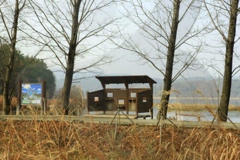 Changnyeong Upo Wetland  (29/31)