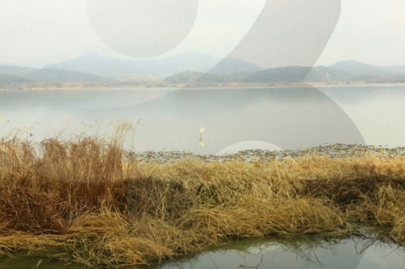 Changnyeong Upo Wetland  (30/31)