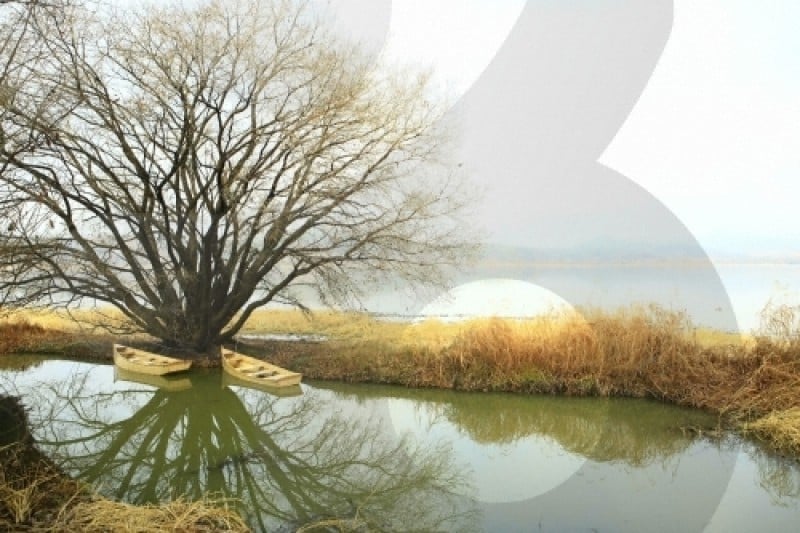 Changnyeong Upo Wetland  (31/31)