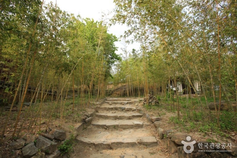 Choi Champandaek  (27/49)